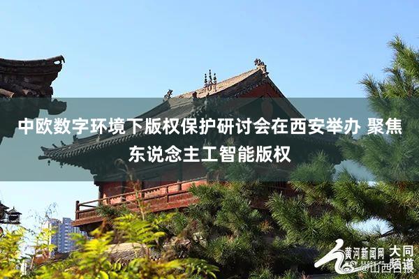 中欧数字环境下版权保护研讨会在西安举办 聚焦东说念主工智能版权