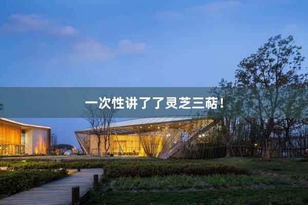 一次性讲了了灵芝三萜！