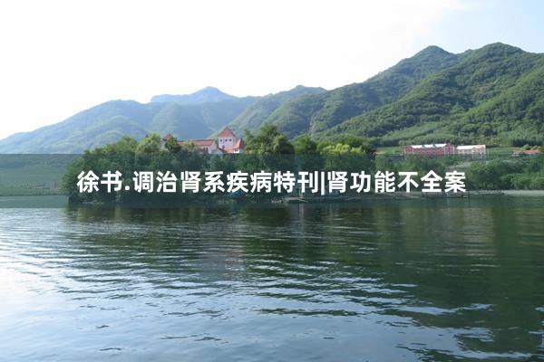 徐书.调治肾系疾病特刊|肾功能不全案