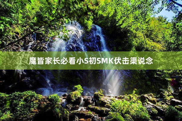 魔皆家长必看小S初SMK伏击渠说念