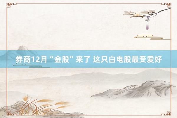 券商12月“金股”来了 这只白电股最受爱好