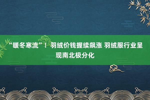 “暖冬寒流”！羽绒价钱握续飙涨 羽绒服行业呈现南北极分化