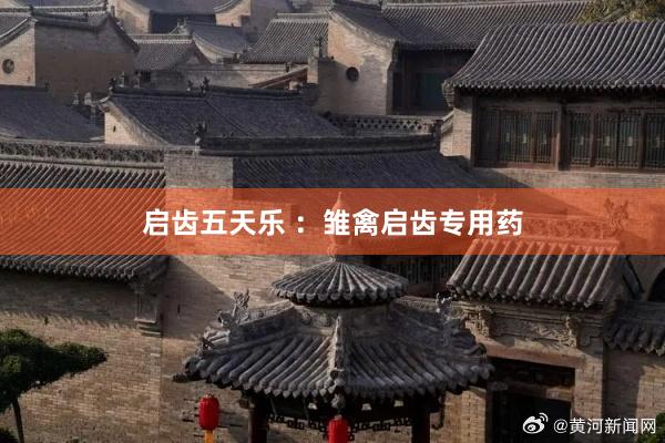 启齿五天乐 ：雏禽启齿专用药
