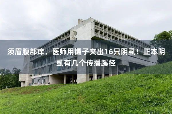 须眉腹部痒，医师用镊子夹出16只阴虱！正本阴虱有几个传播蹊径