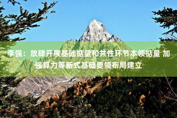 李强：放肆开展基础掂量和共性环节本领掂量 加强算力等新式基础要领布局建立