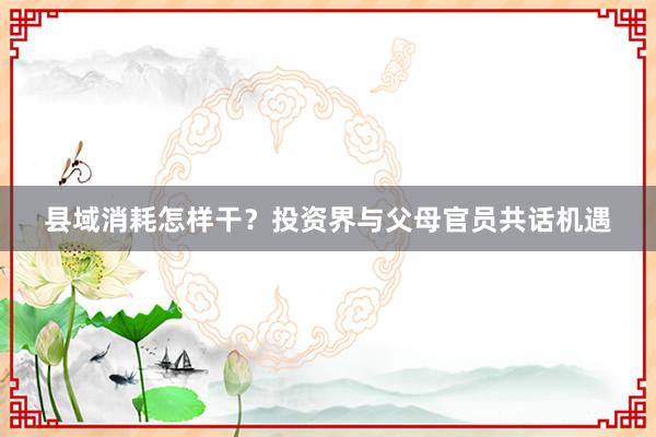 县域消耗怎样干？投资界与父母官员共话机遇